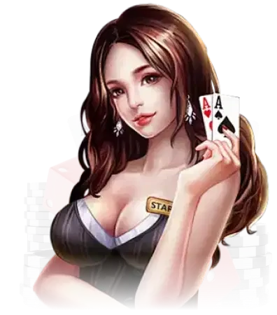 使用说明